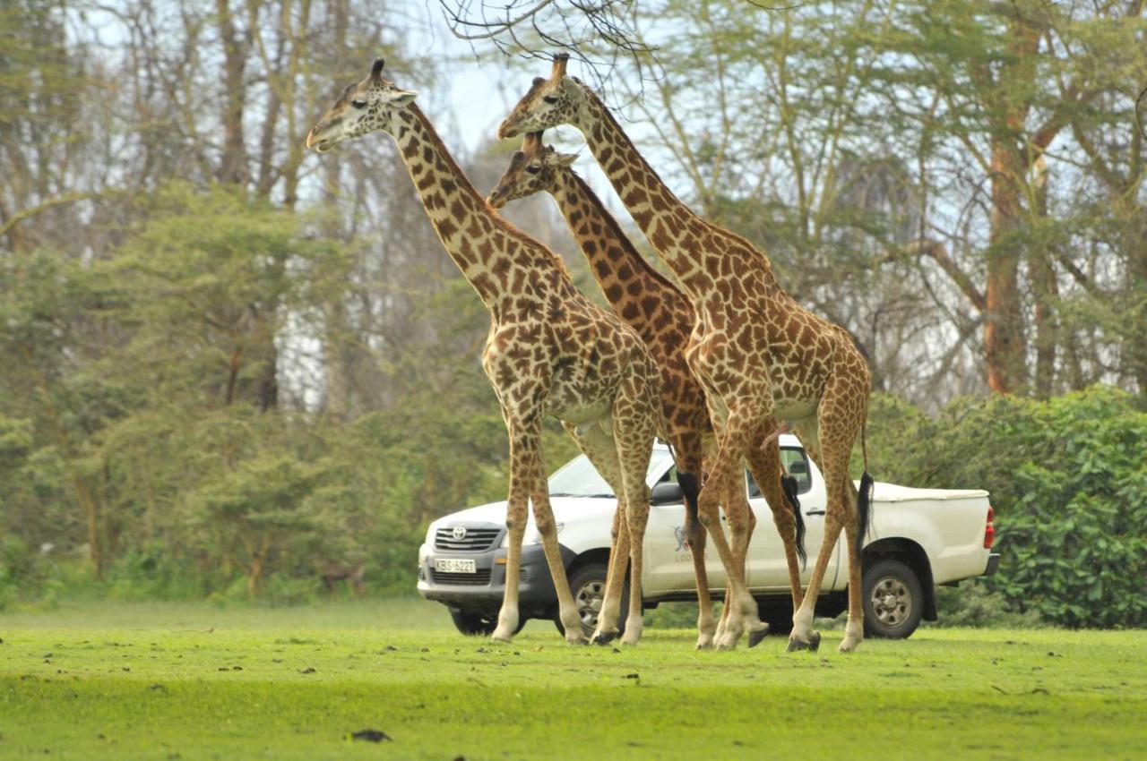 Lake Naivasha Sopa Resort Luaran gambar