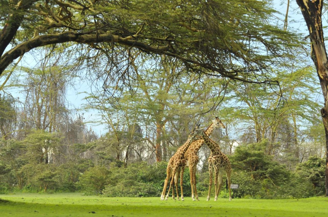 Lake Naivasha Sopa Resort Luaran gambar